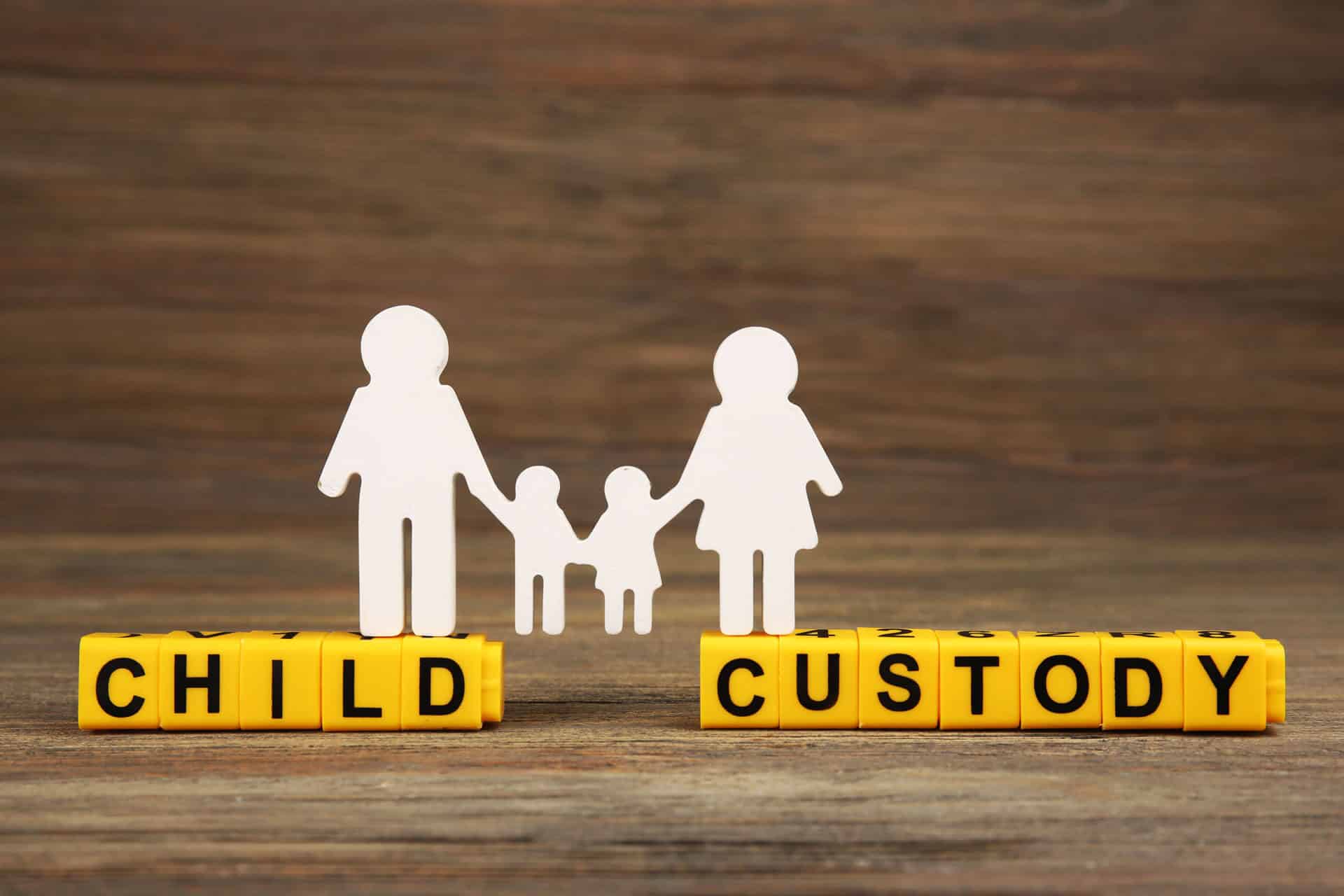 What is Joint Custody?