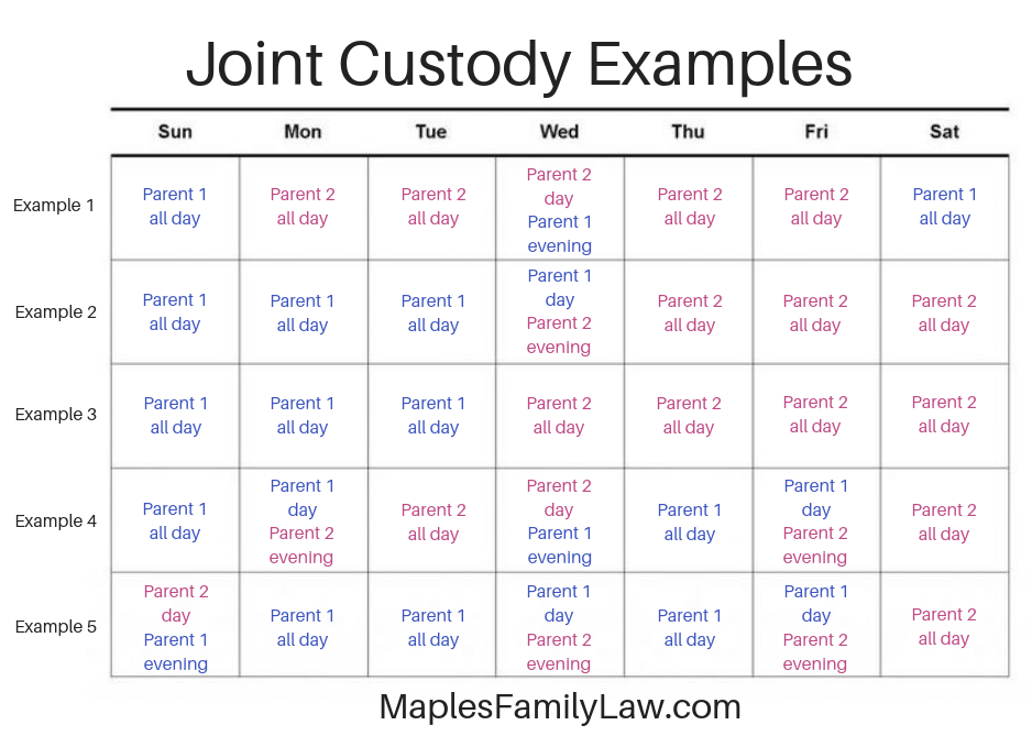 Joint Custody Examples