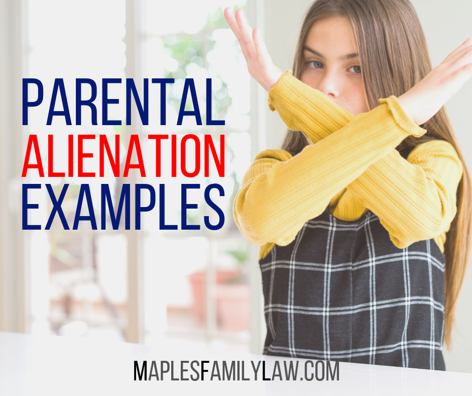 Parental Alienation Examples