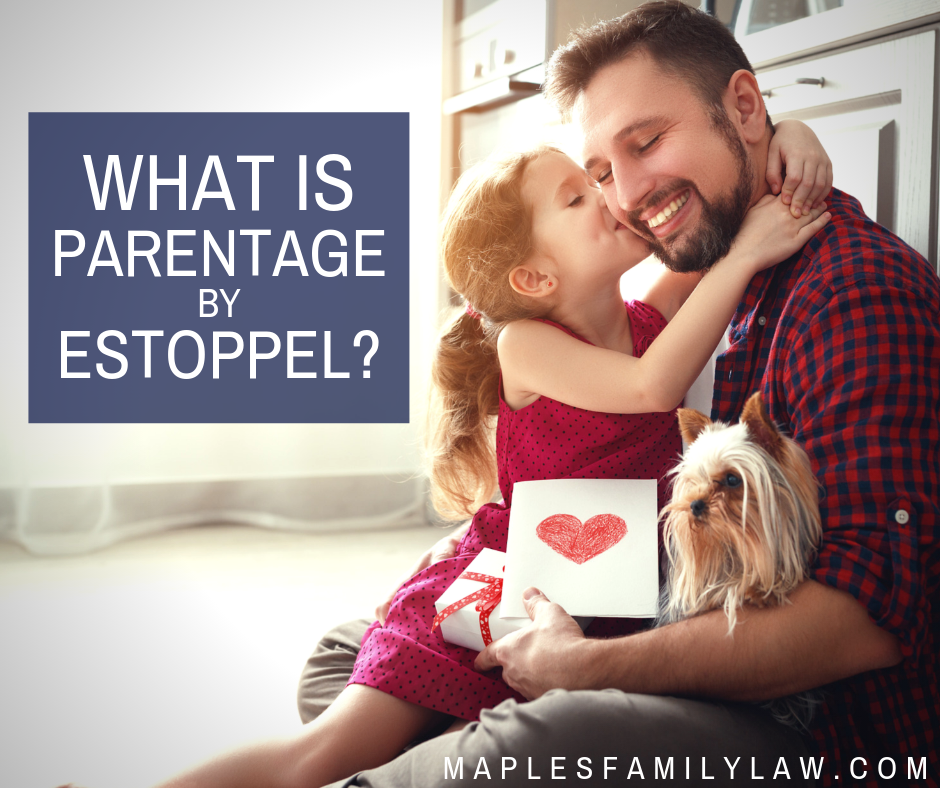 What is Parentage by Estoppel - California Child Support and Custody