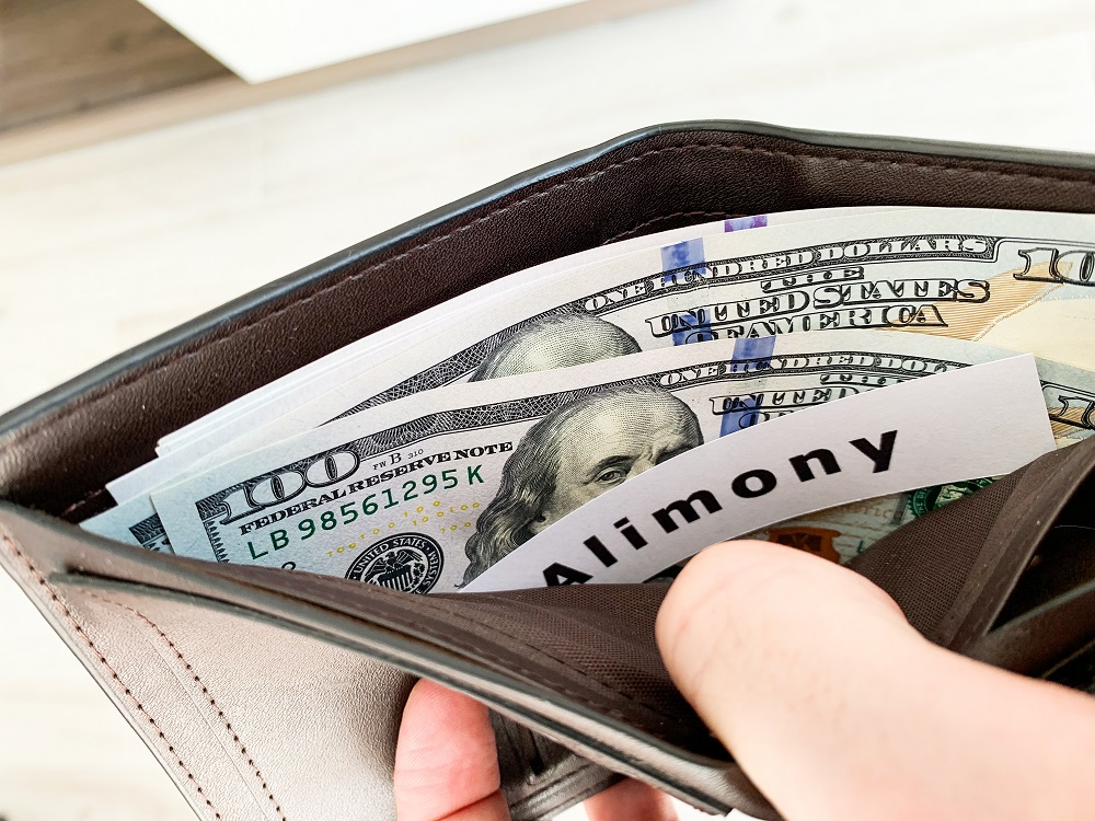 Alimony and Spousal Support
